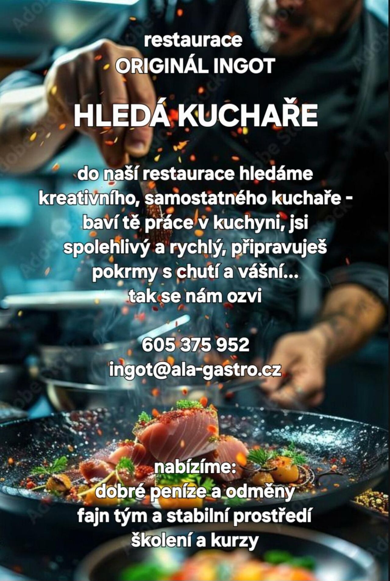 HLEDÁME KUCHAŘE / KUCHAŘKU