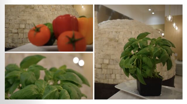 Produtos sempre frescos