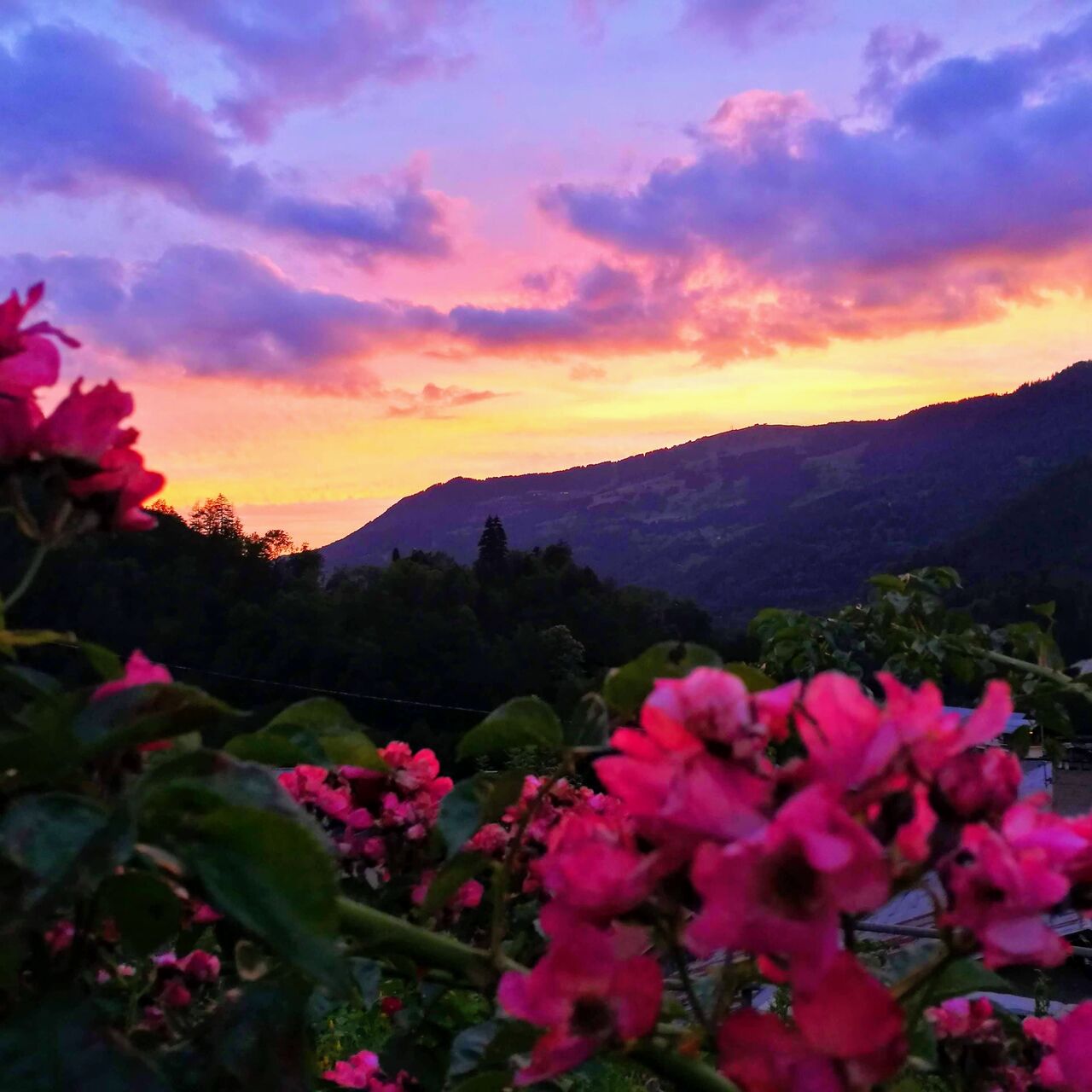 Mont Bisanne depuis Beaufort