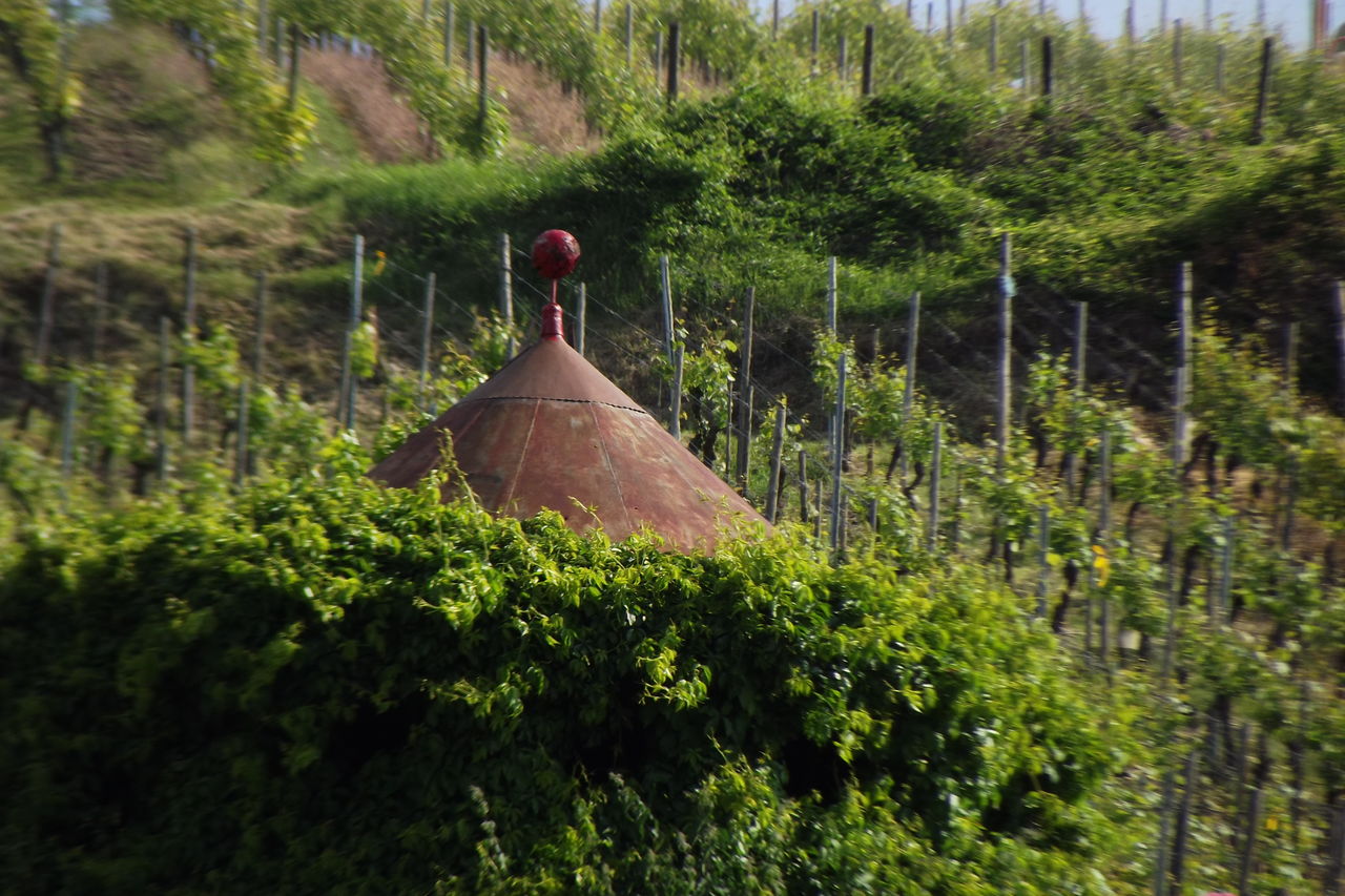 Ateliers oenologiques à Bailleul