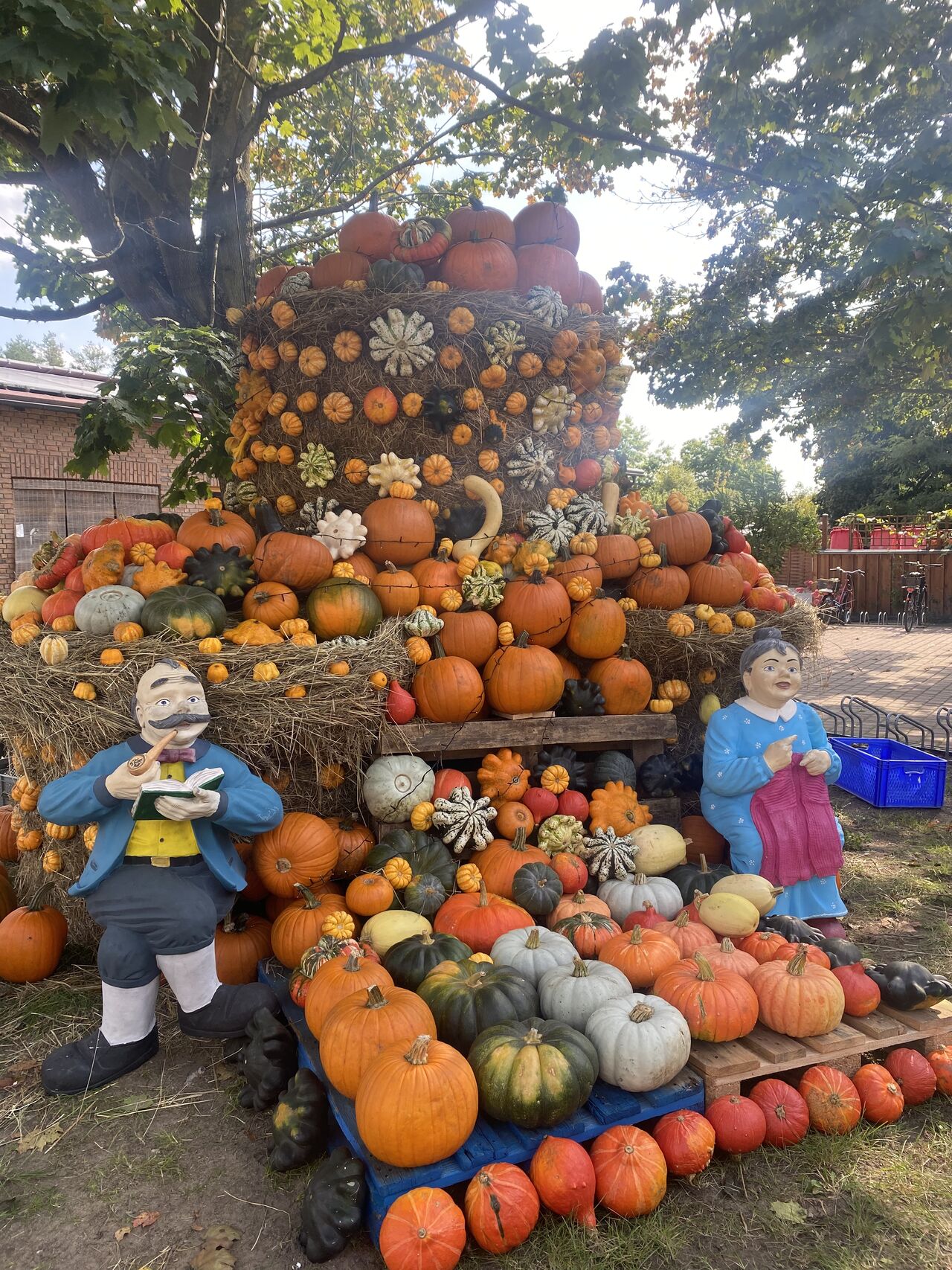 Kürbisdekoration auf dem Hof