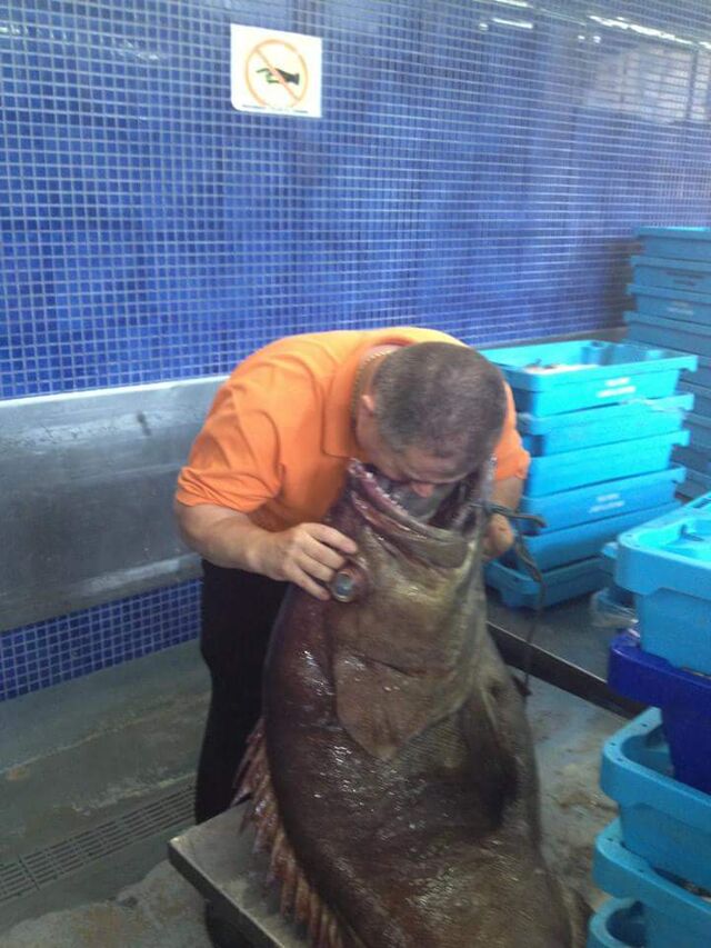 A esta cherna creo que le huele el aliento