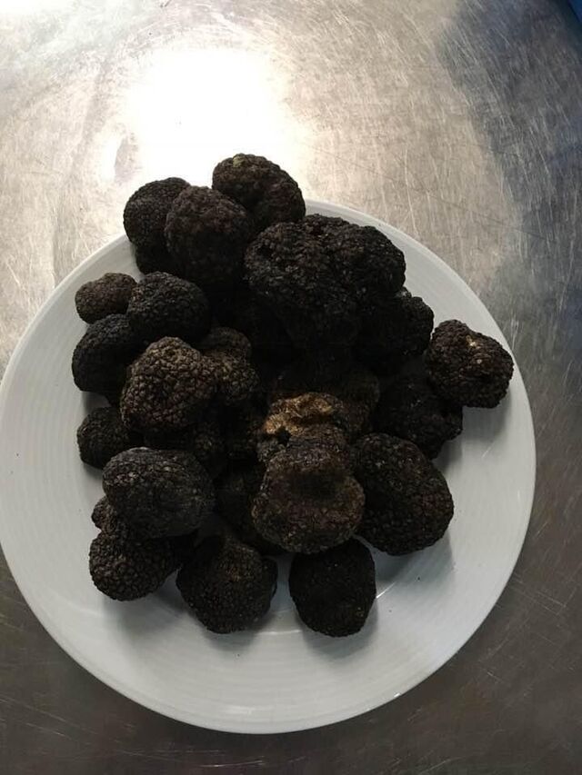 Sommer Trüffel - Saisonale Spezialitäten