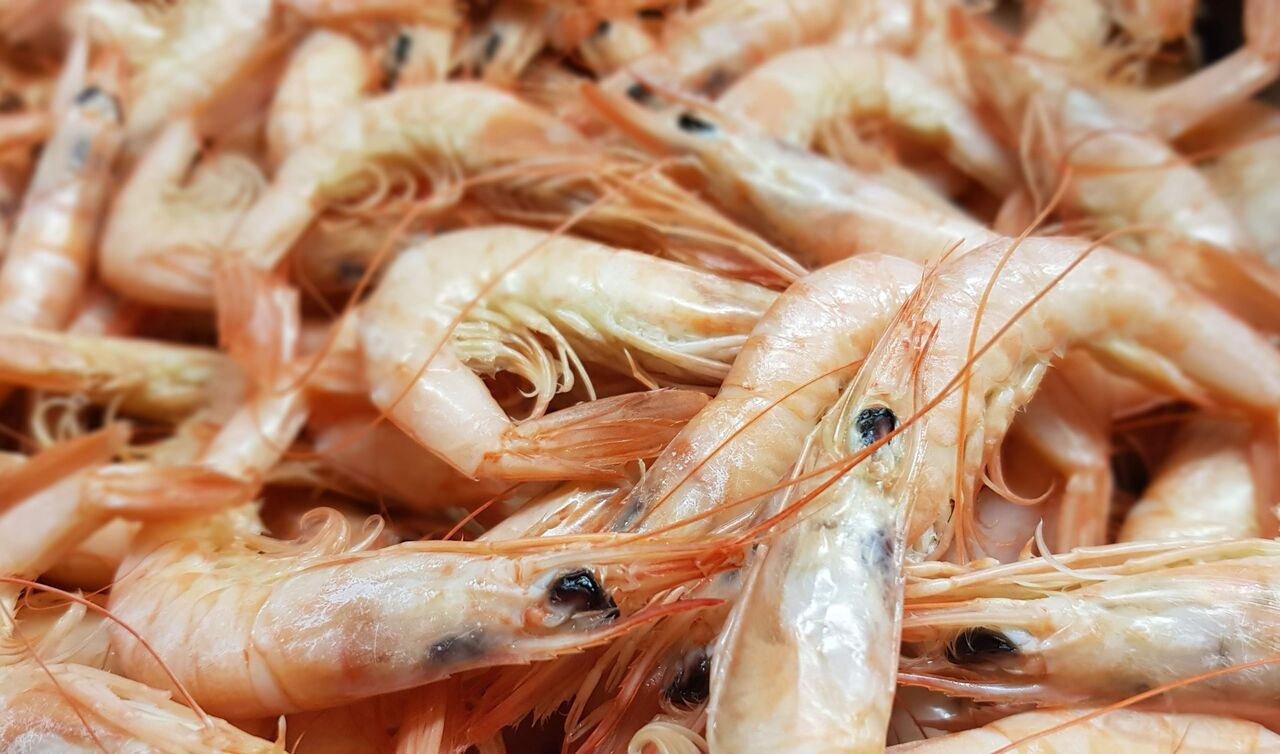 Gambas Blancas