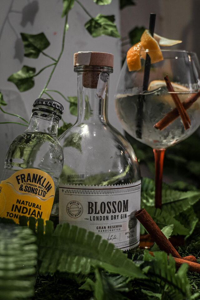 Pimp Ton Gin'To