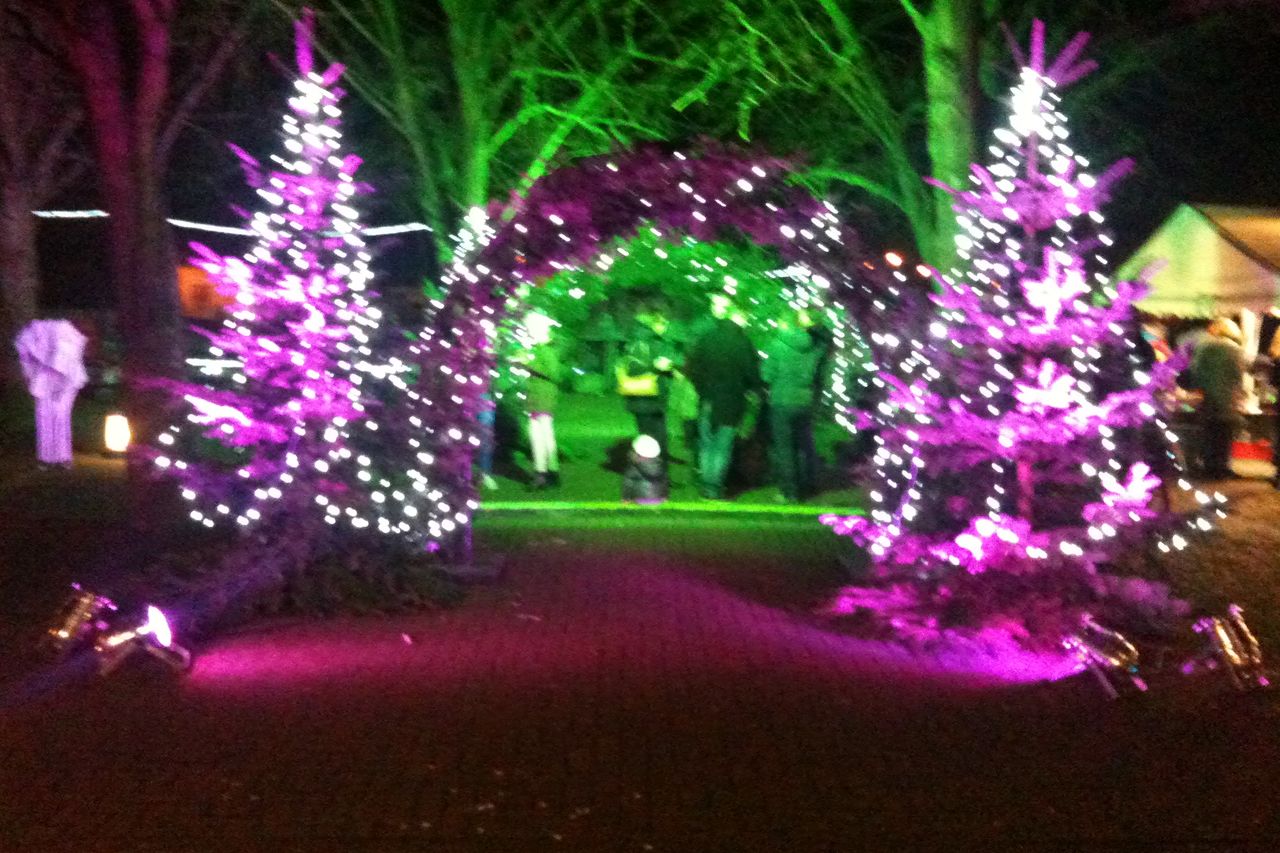 MARCHES DE NOEL ET AUTRES MARCHES