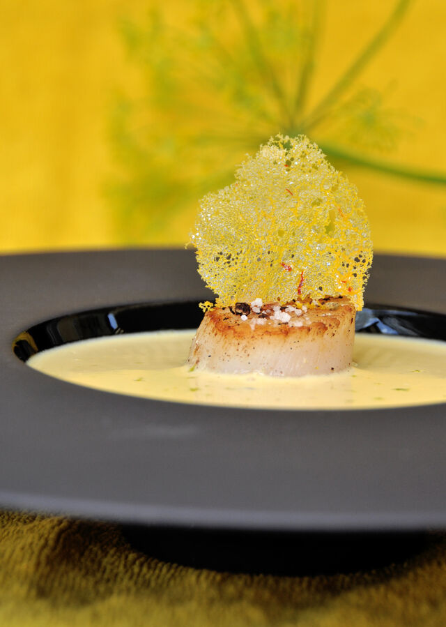 La noix de Saint-Jacques, ce bijou de l'océan, mérite toute l'attention du cuisinier...