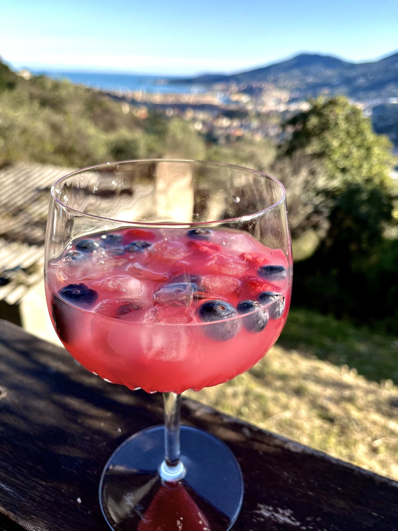 gin wild berry