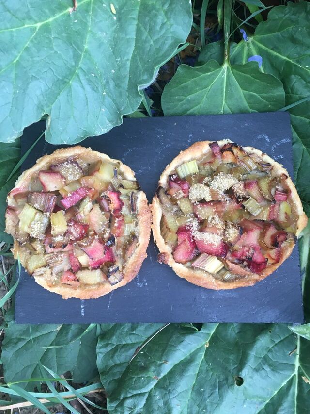 Tartelette Rhubarbe
la pièce 4€