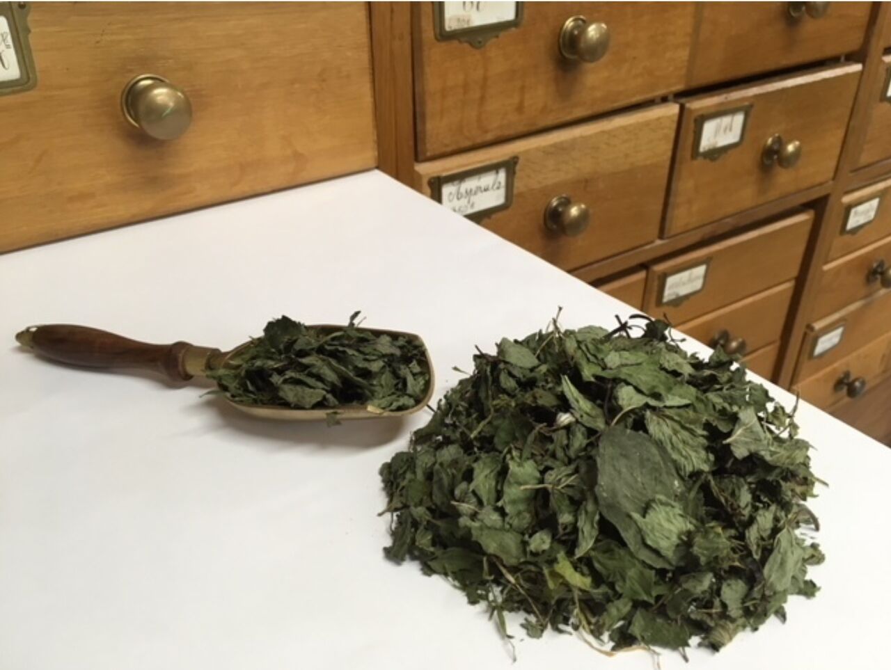 Menthe poivrée - 30gr - 2,50€