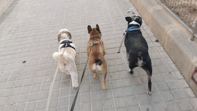 Los mejor portados 🤗😁