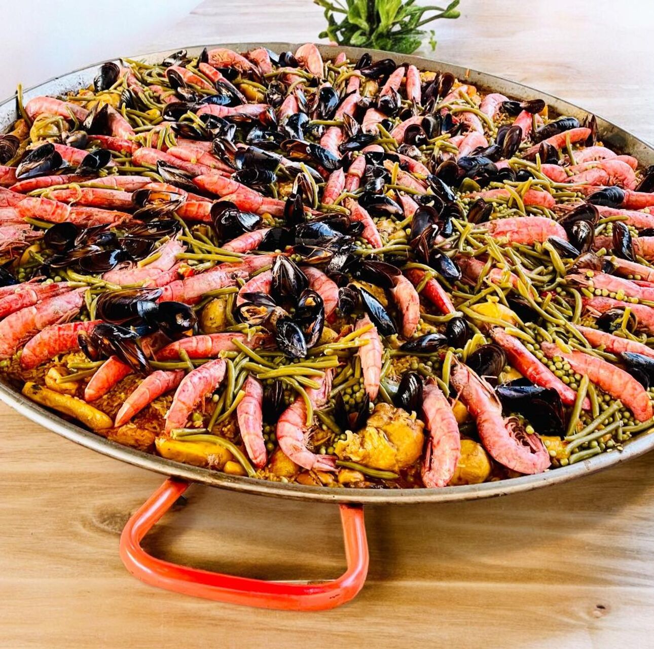 Retrouvez-vous au Festival d'Avignon