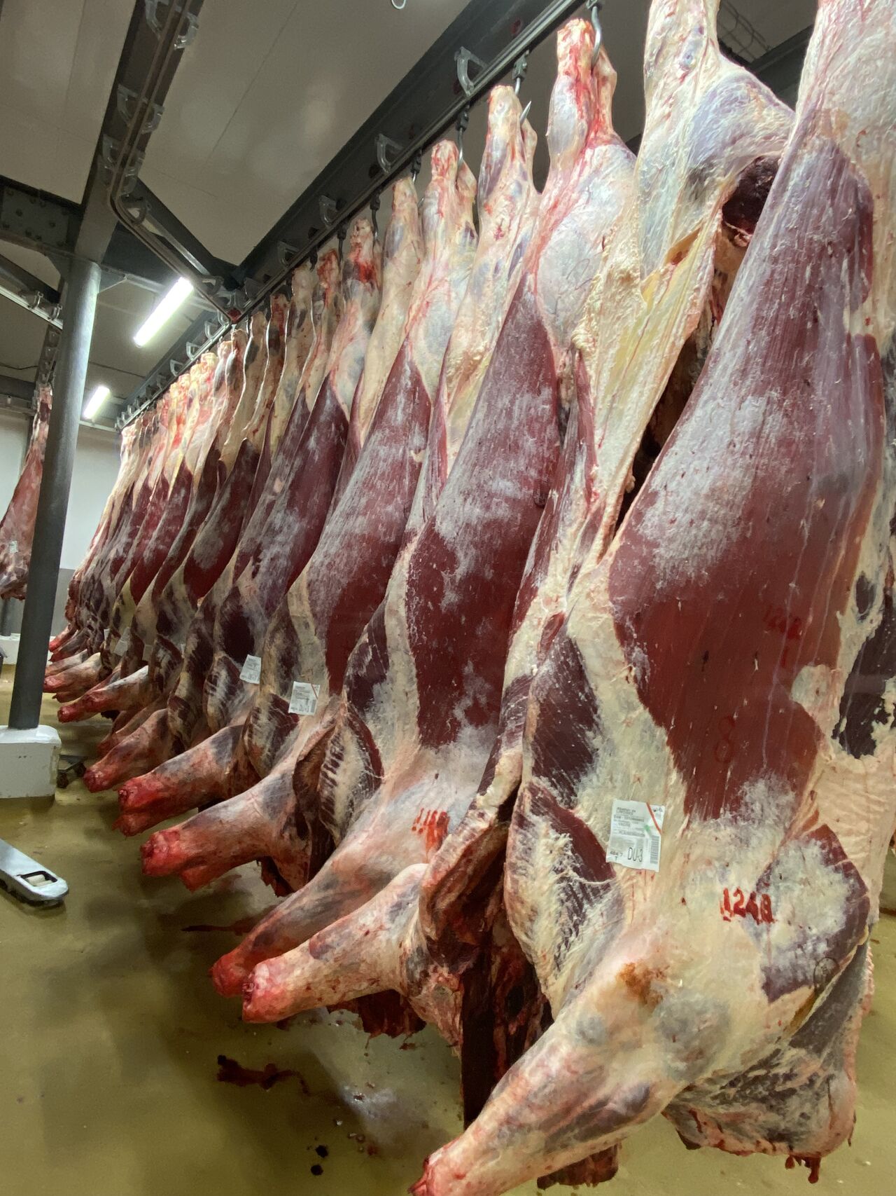 Nos viandes rigoureusement sélectionnées