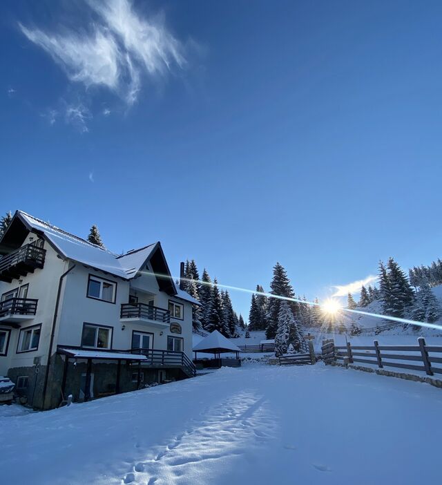 Poienița Ursului iarna
