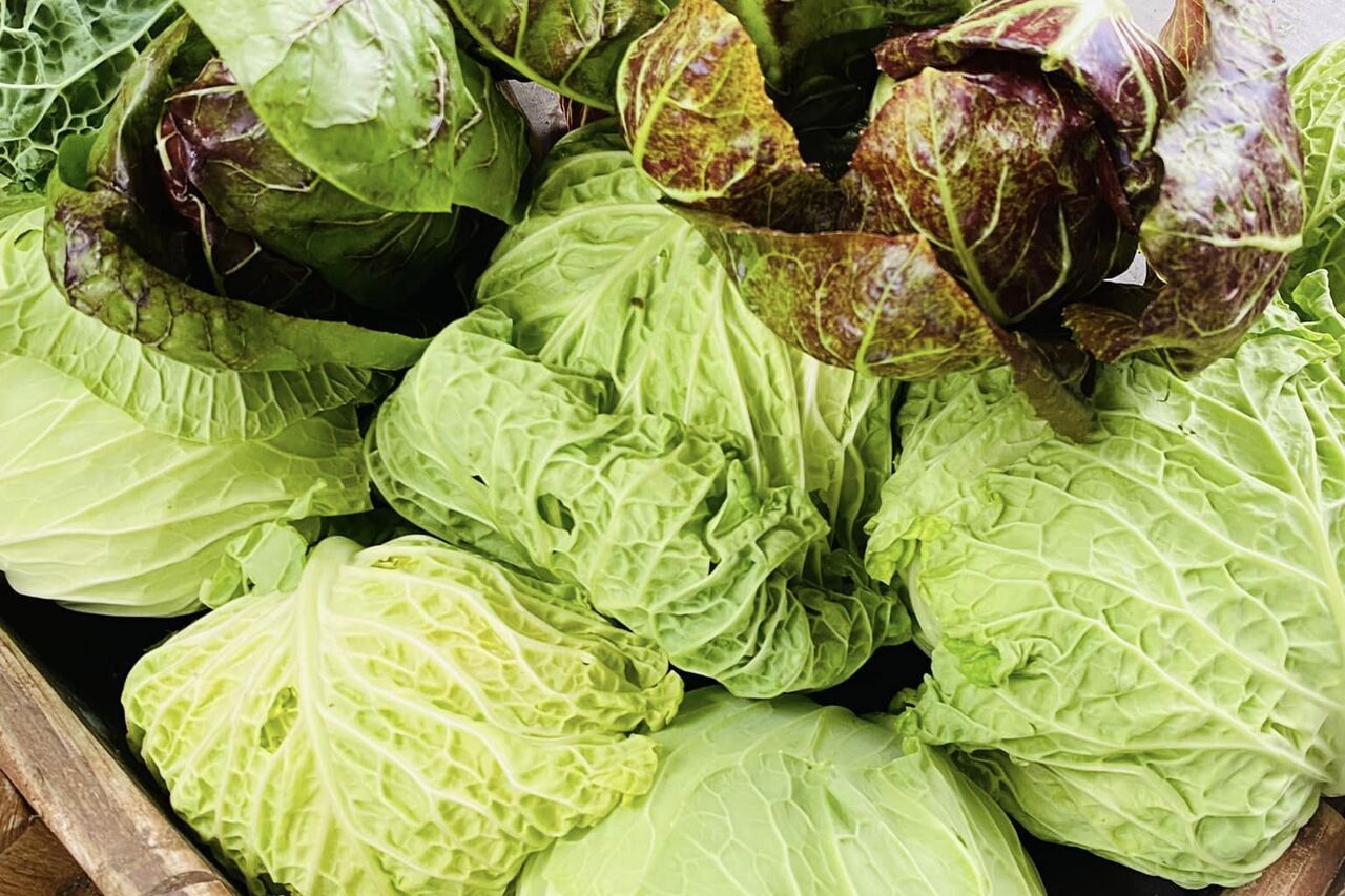 CONSEGNE A DOMICILIO