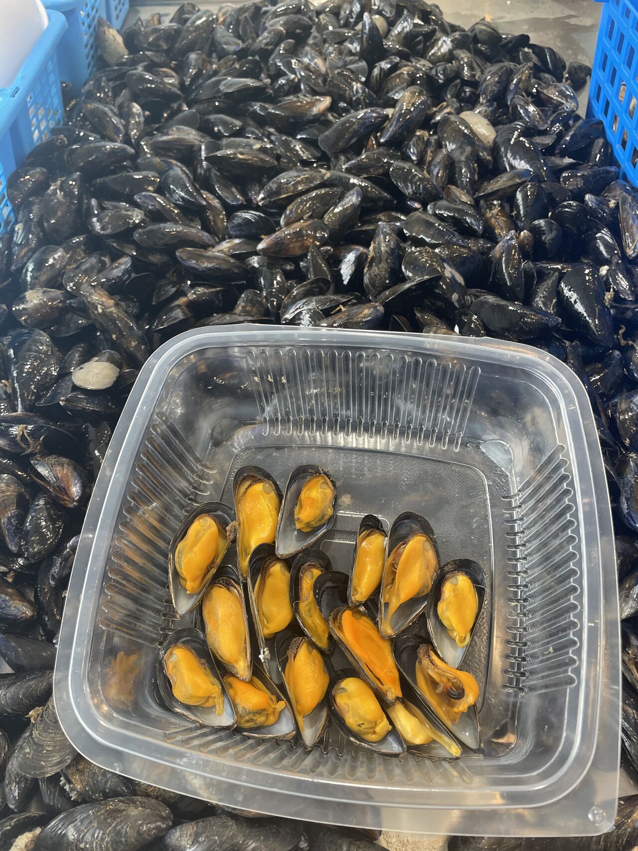 Moules