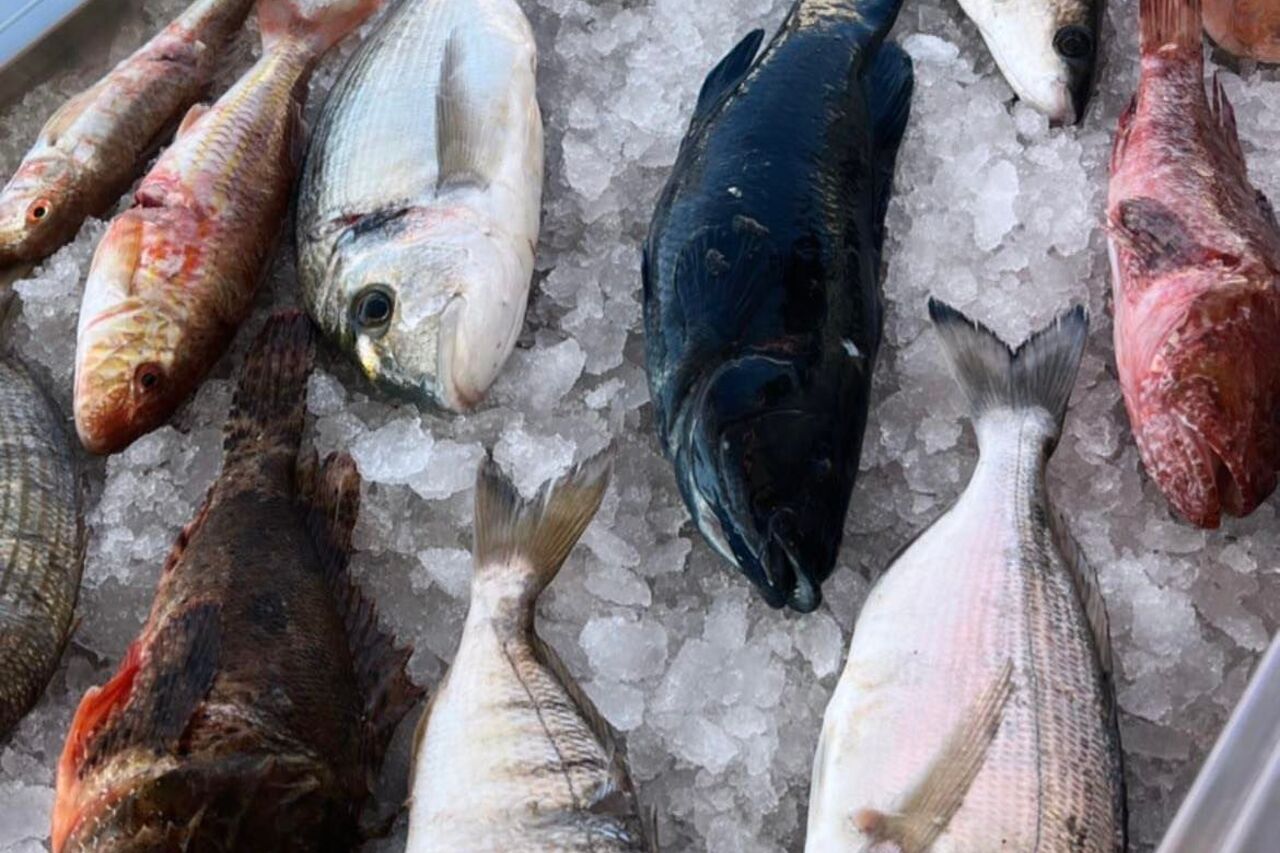 Svježa riba ravno na stol