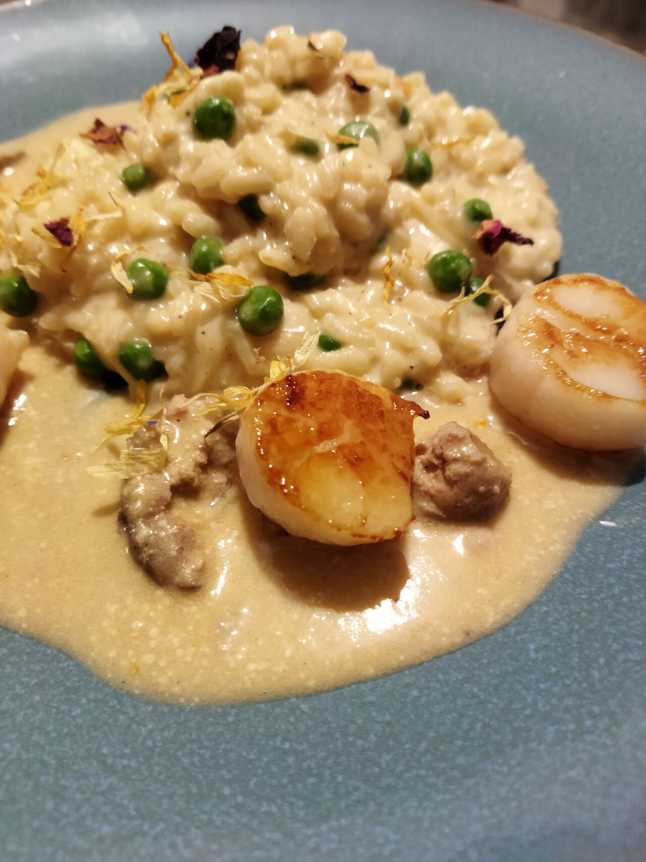 Risotto aux petits pois et st jacques snackees, sauce au foie gras