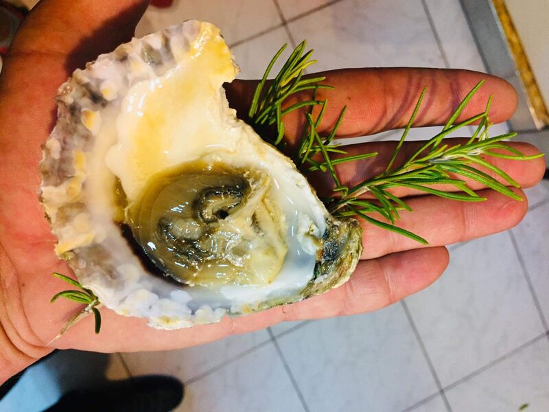 all fresh and meditaranian