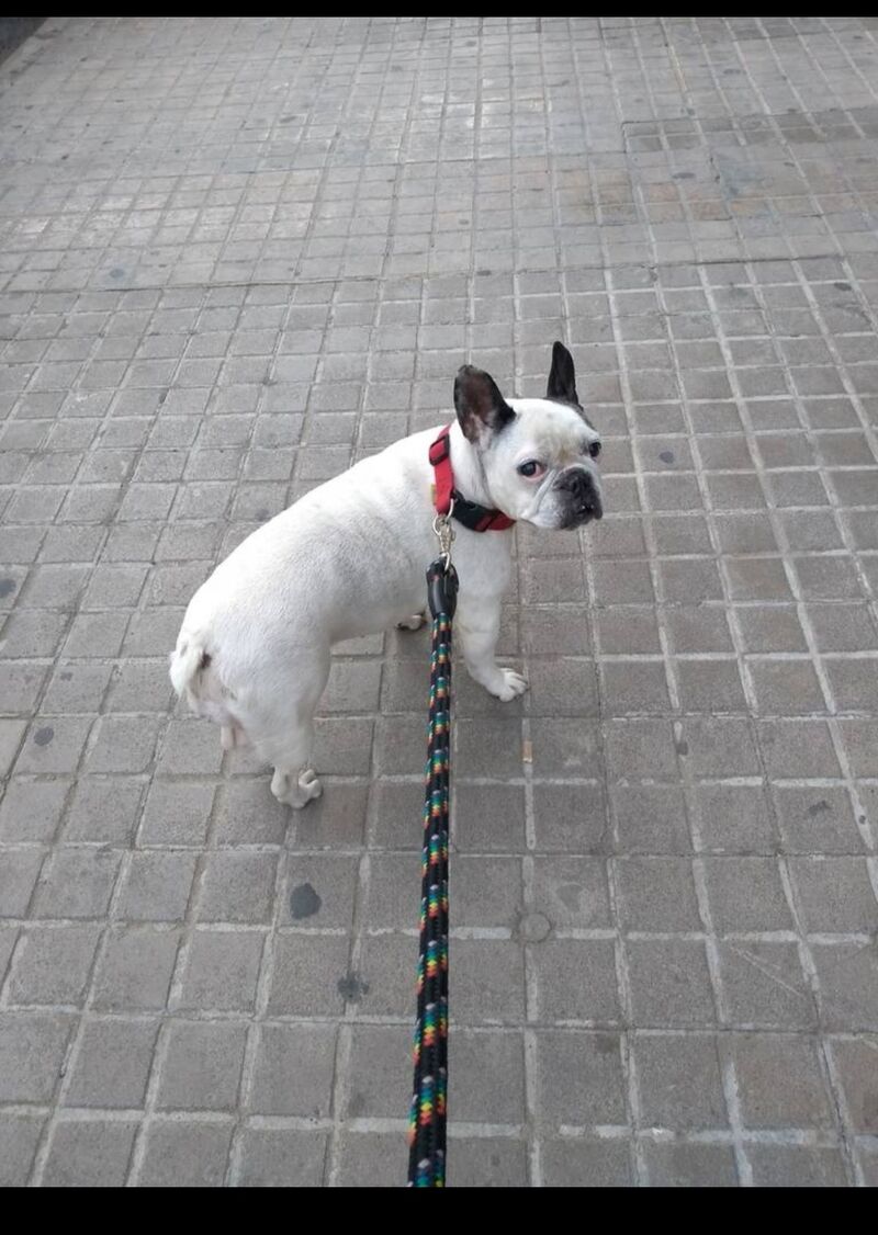 Tarifa una Chica Mona😊