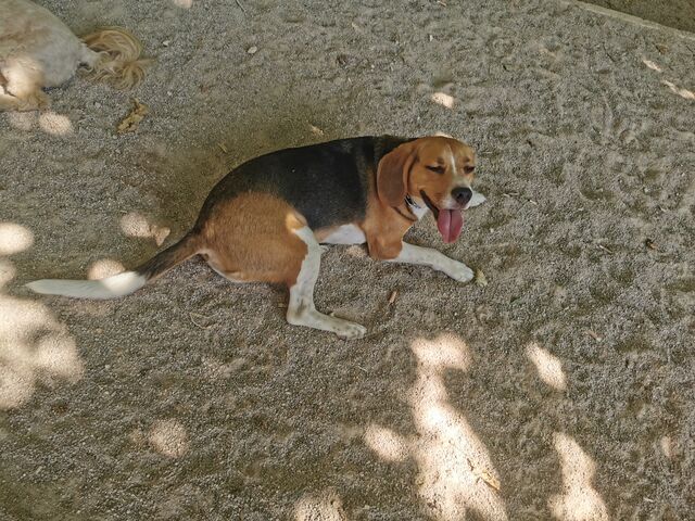 Max en su lugar favorito 😉