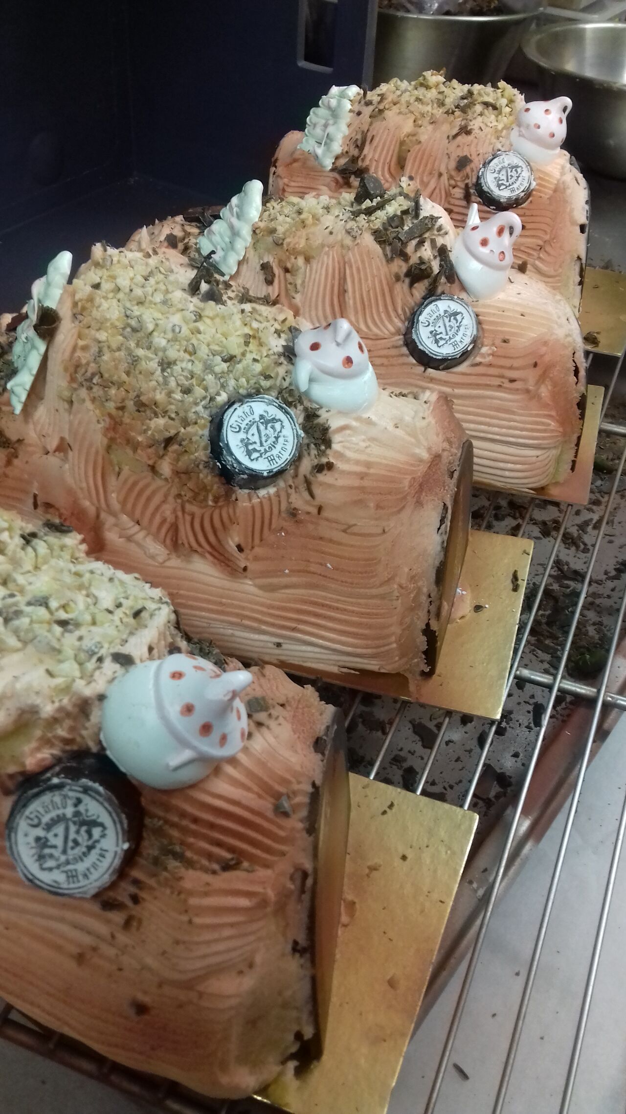 Les buches saison 2022