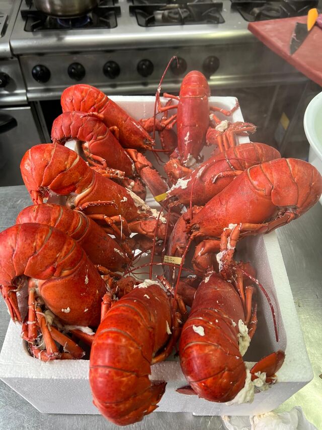 Platos - Speisen - Dishes