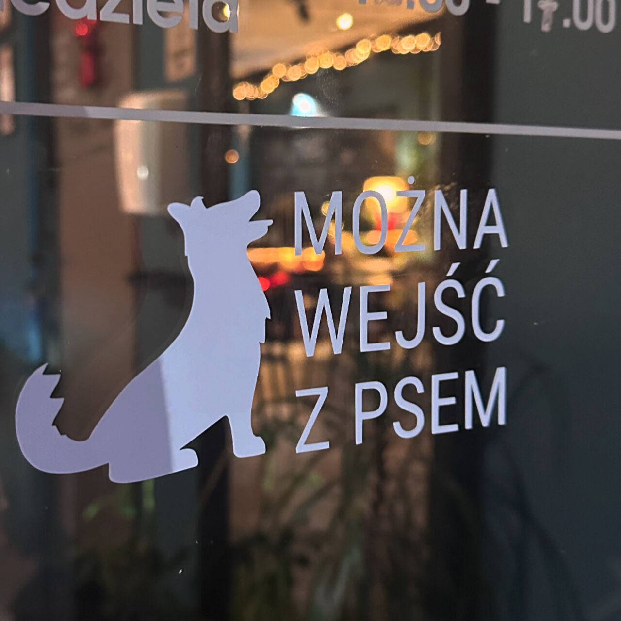 U nas każdy jest ważny 🫶🏻nie ważne na ilu nogach czy łapach ❤️🦮