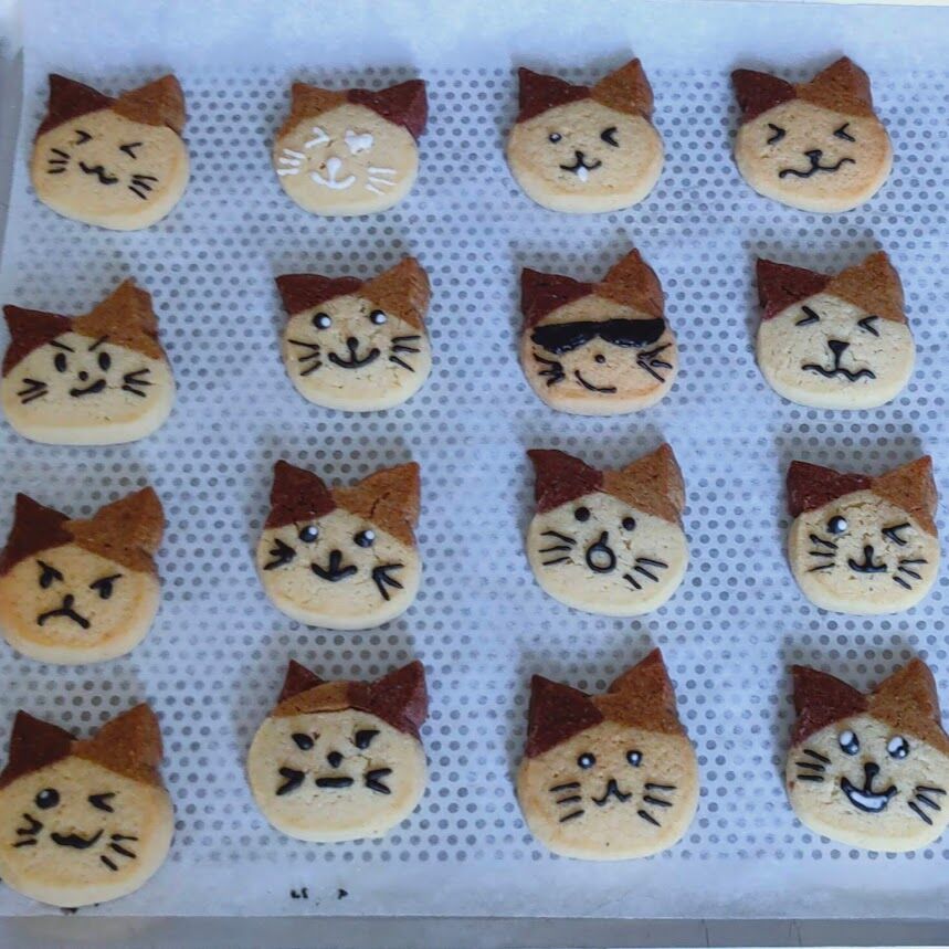 Biscuits tête de chat