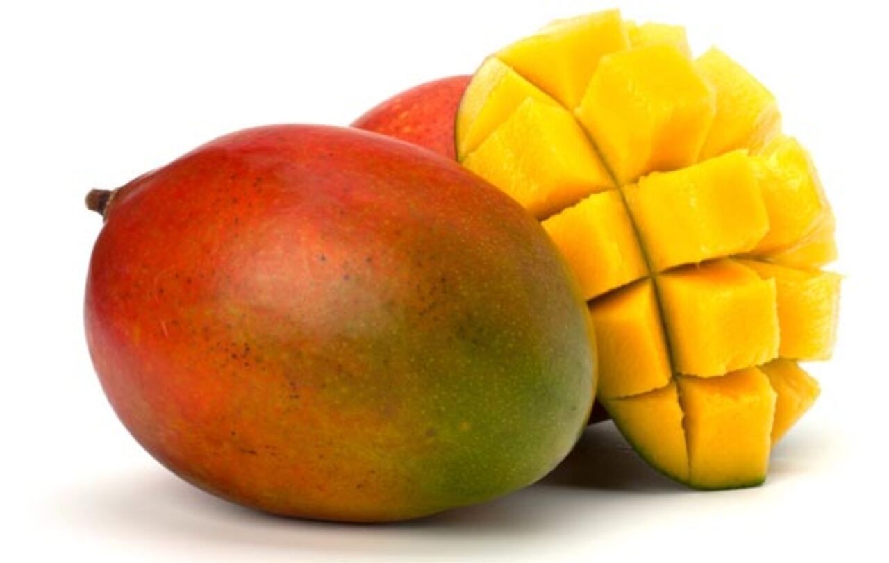 Mangue kent - 1,74€