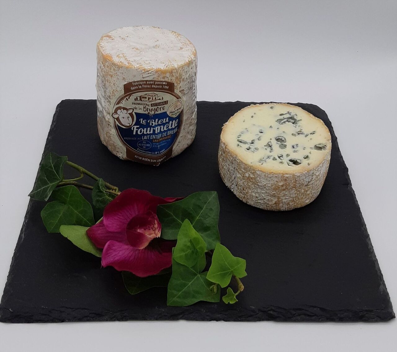 fourmette pur brebis du Forez