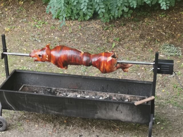 Party-t adtunk Tapolcán III. és malacot is sütöttünk faszénparázs felett!