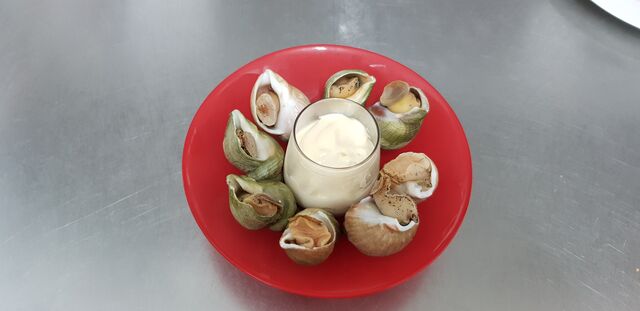 Bulots et son aïoli maison