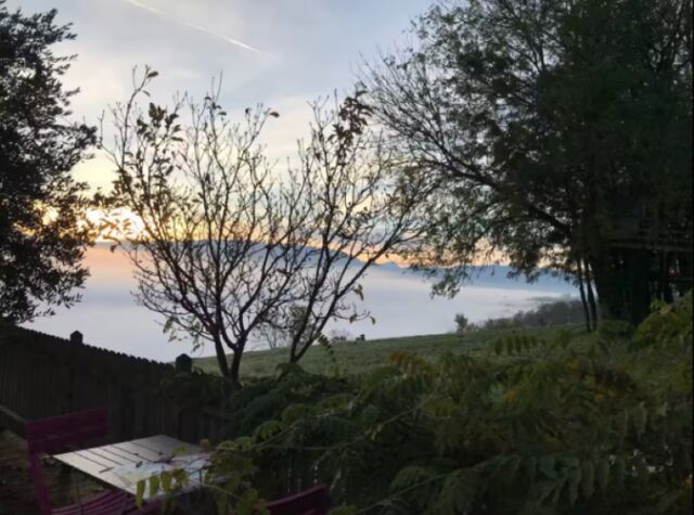 Panorama