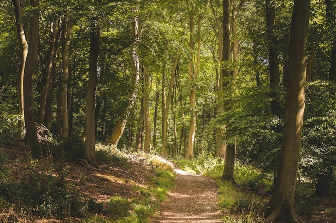 Uživajte u prirodnim ljepotama