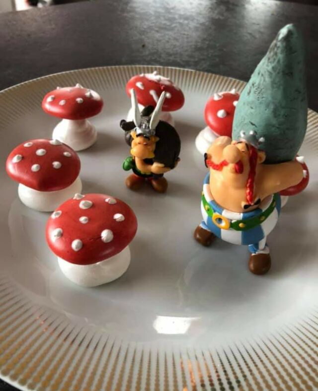 Quelques meringues sur le thème Asterix et Obelix!