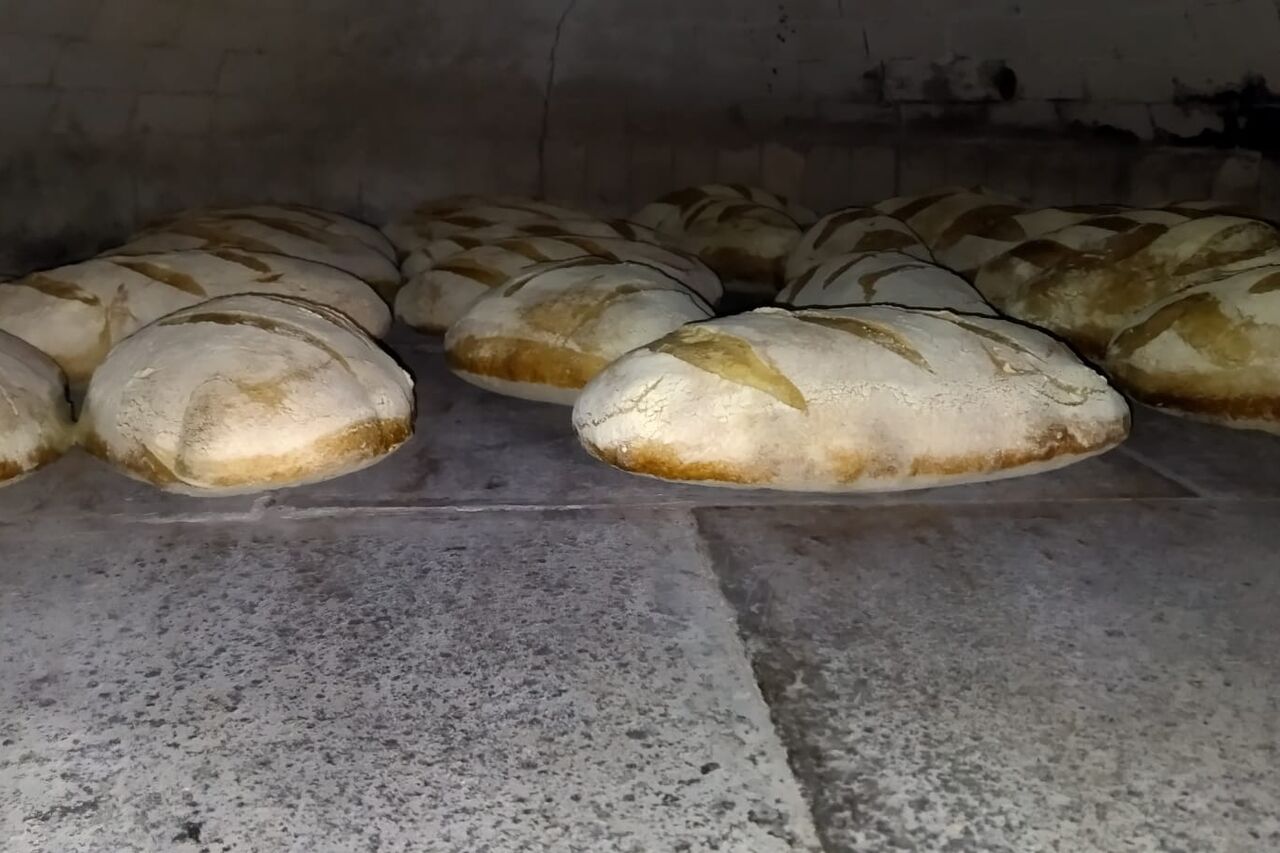 PANE E PUCCE