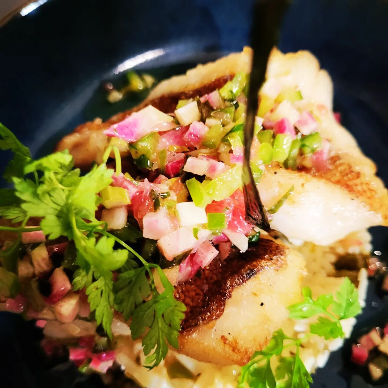Filet de Turbot