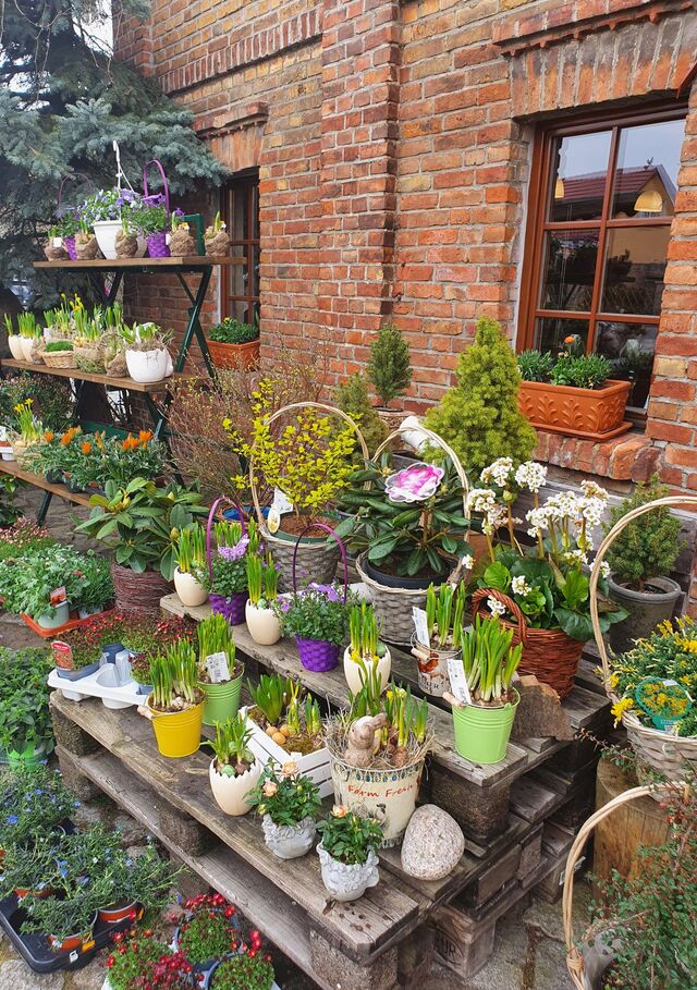 Frische Blumen aus dem Hofladen