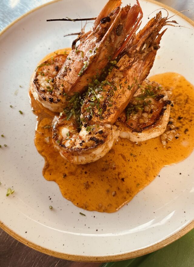 Gamba’s