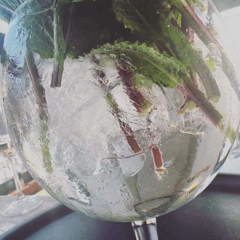 menthe fraiche pour cocktails