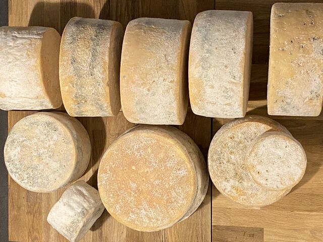 Warmiński Pleśniowy