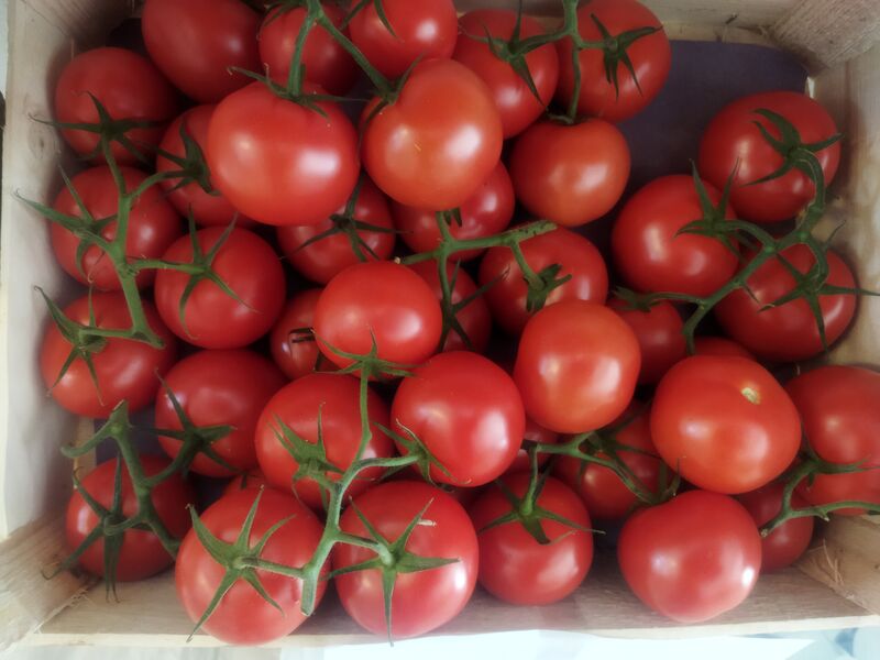 Tomates grappe 2.30€ kg