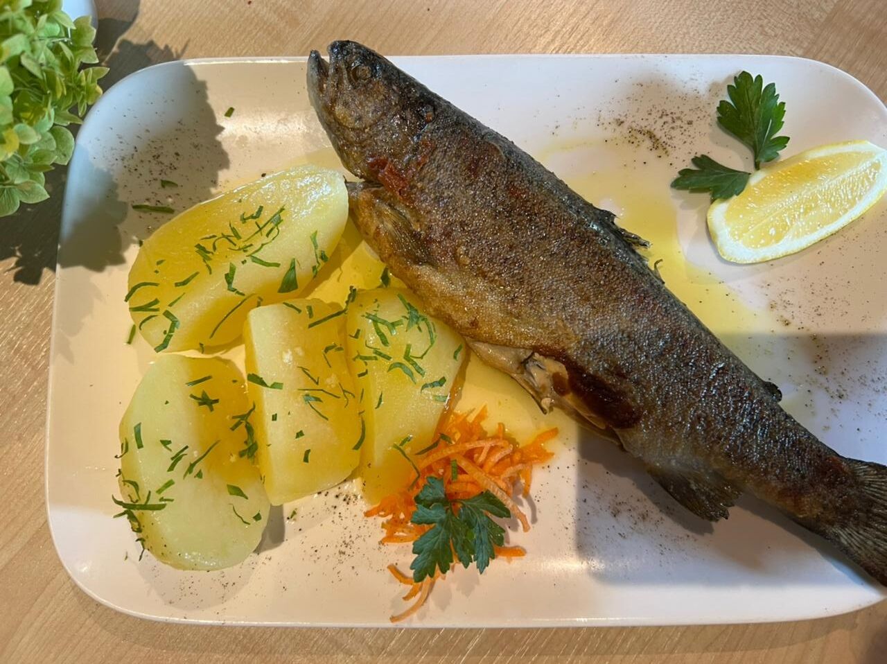Forelle vom Grill