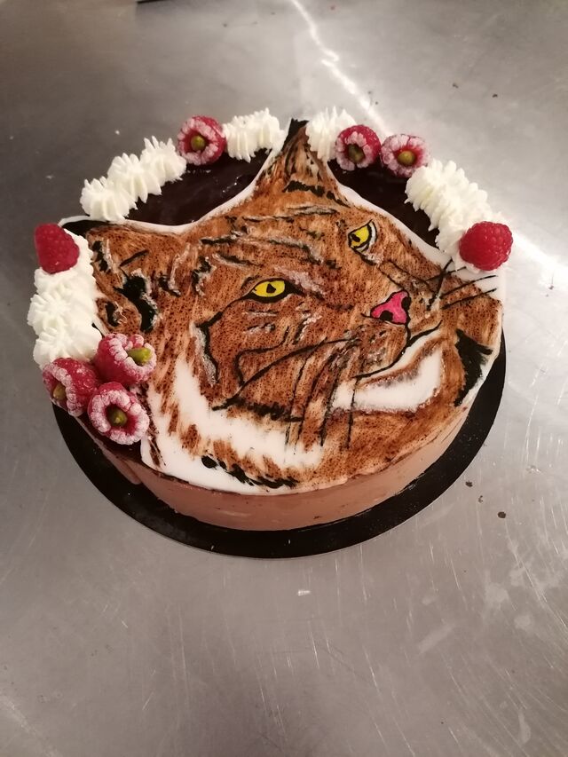 Entremet framboise chocolat 