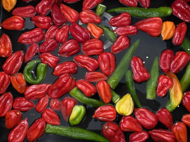 Piments pour la préparation des sauces