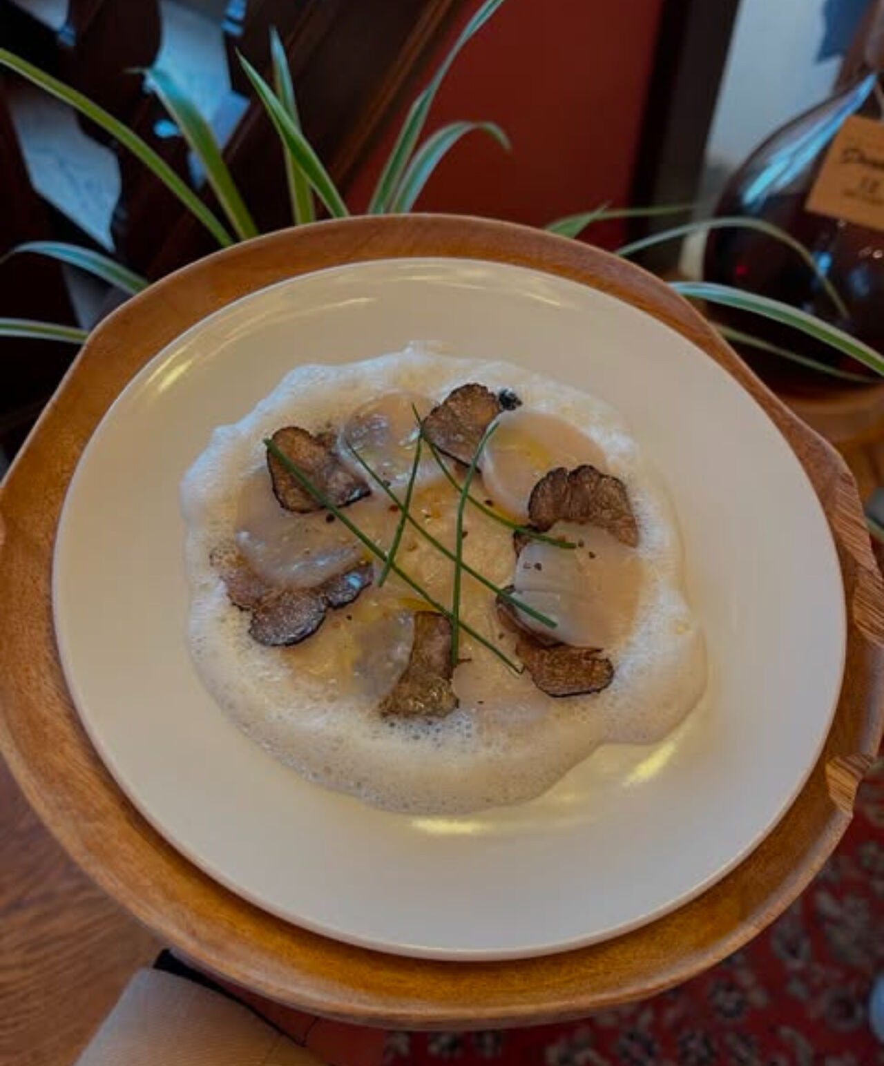 carpaccio saint Jacques et Truffes