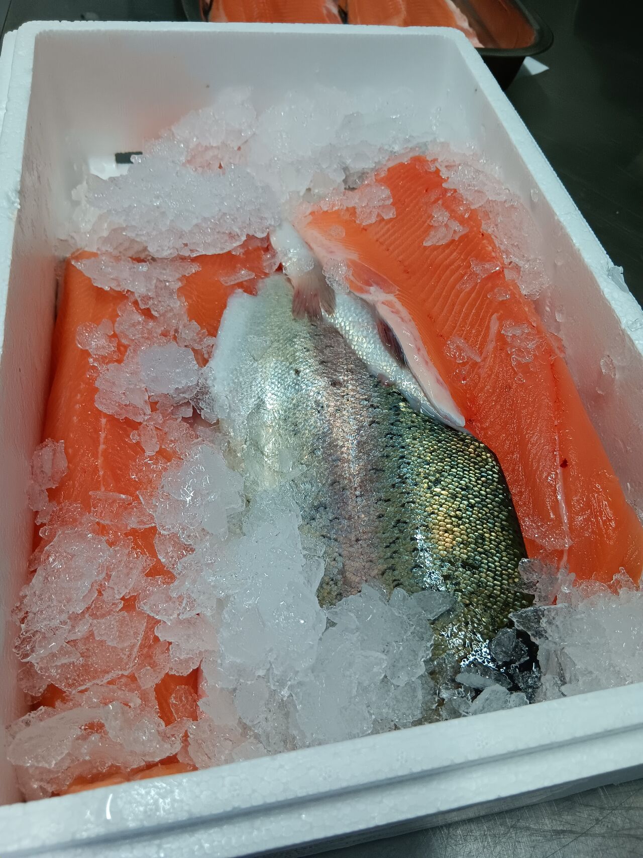 Poissons frais du jour