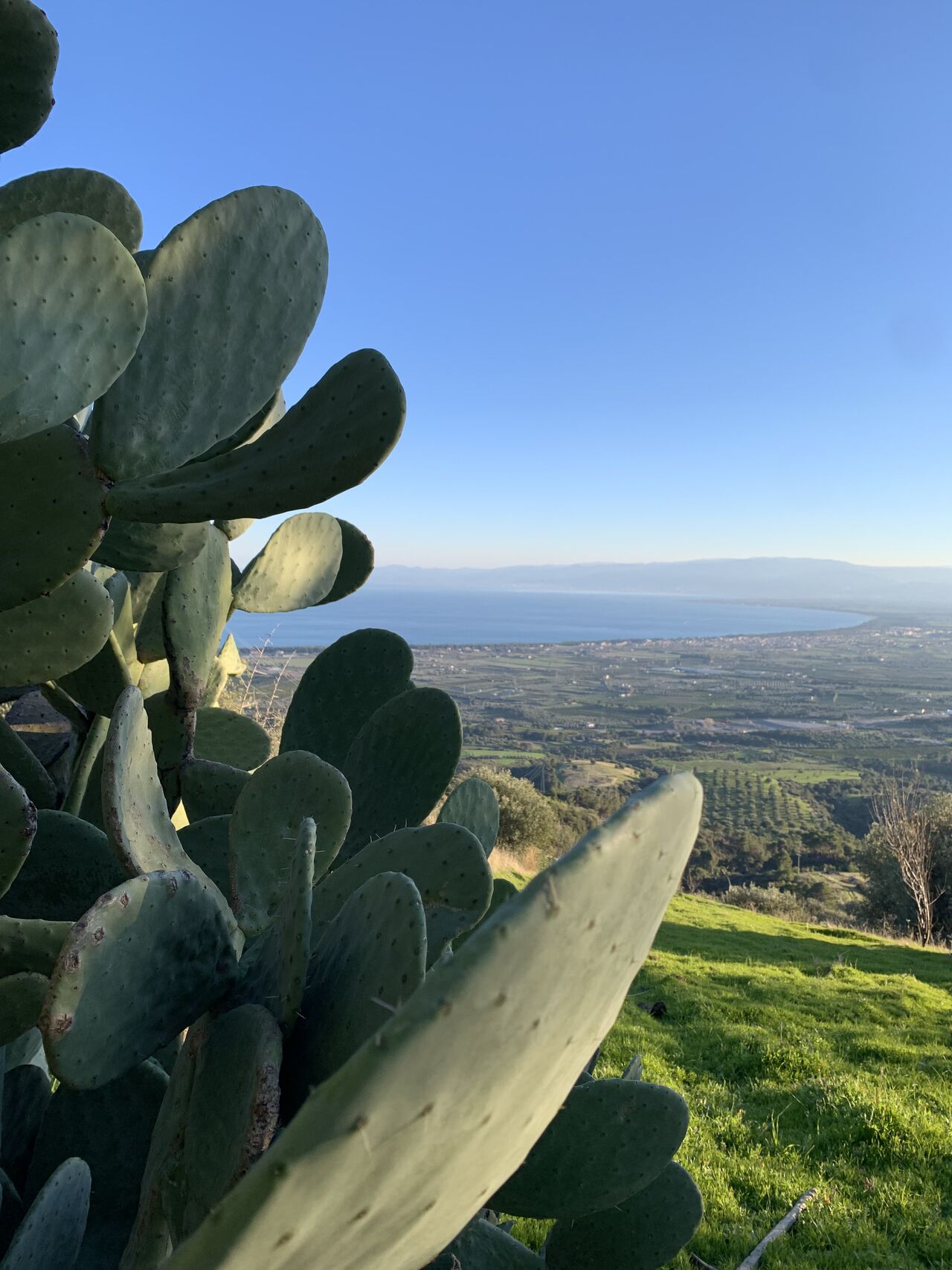 TERRA Calabrian Food Forest
