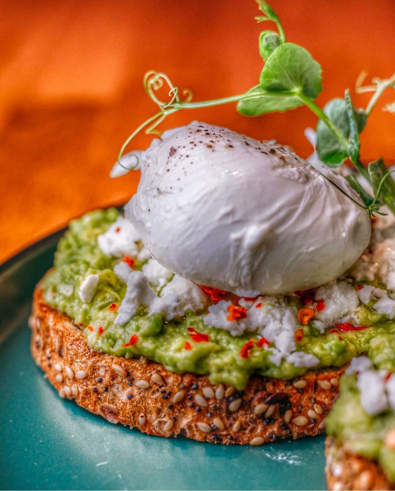AVOCADO WITH POACHED EGGS